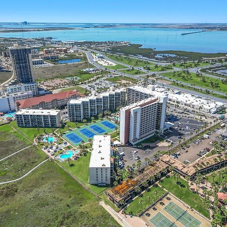 1204 Saida I - Beach Front Саут Падре Алънд Екстериор снимка